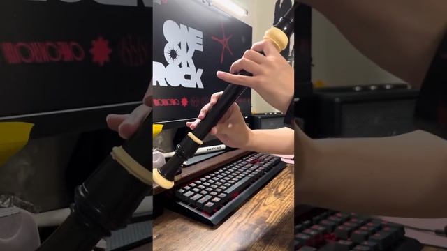 ONE OK ROCK - Neon cover - 直笛 смотреть онлайн