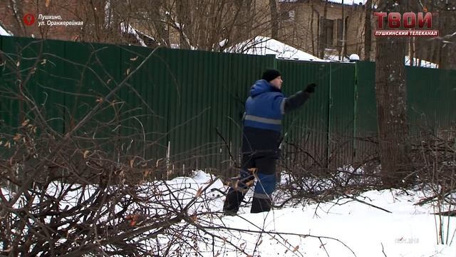 Оздоровление городских деревьев. смотреть онлайн
