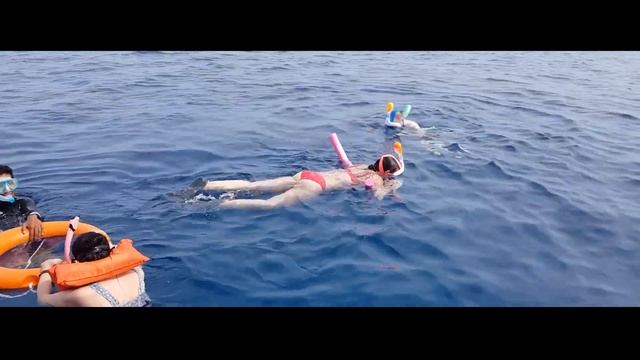 Snorkel @ Maldives with Sharks and Mantra Rays смотреть онлайн