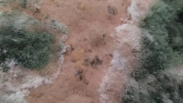 Jakaba & Trichoderma 2 Kekuatan Dahsyat, Petani Wajib Tahu