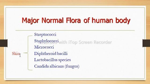 Microbiology - Normal flora (Microbiota) | Microbiome | Resident & Transient Microflora| KMU Nursin смотреть онлайн