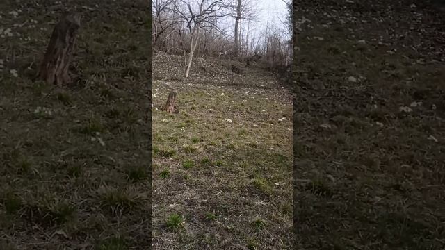 Земельный участок с/т "Забота" смотреть онлайн