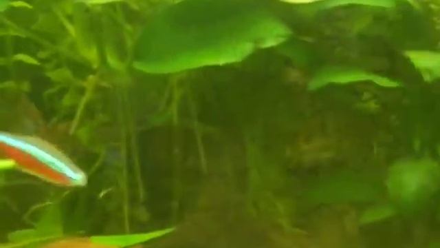войнушка смотреть онлайн