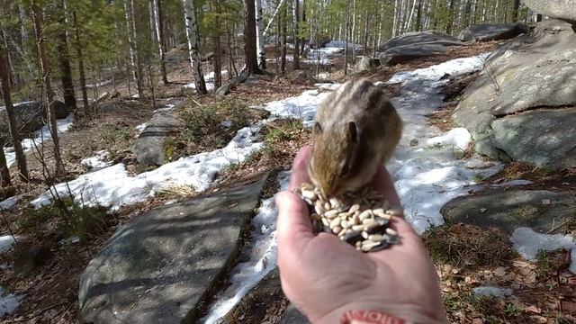 БУРУНДУЧОК ДОБРО ПОЖАЛОВАТЬ НА ЛАДОНЬ смотреть онлайн