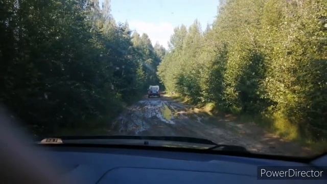 Село Паша. Грибы 2020.Погнали...Часть 2 смотреть онлайн