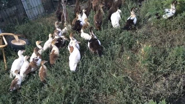 Вот ещё день пустой прожит ! смотреть онлайн