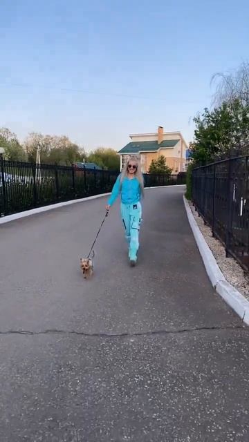Ричи Йорк 🐶 со мной гуляют по 4 раза в день. Я точно прохожу больше 10 тыс шагов 🐾 а вы? 🤗 смотреть онлайн