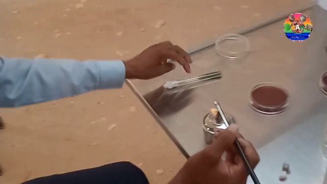 Transfer Of Trichoderma In Rose Bengal Media || Trichoderma Ka Upyog Kaise Karen 👍👍👍👍