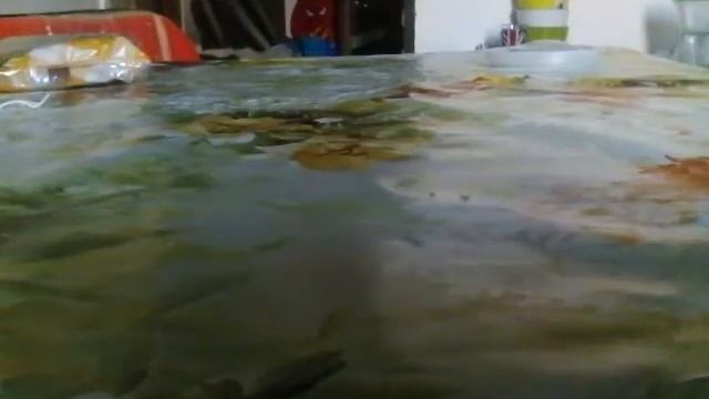 Видео как я ем грибы и не только