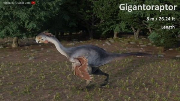 Dinosaurs size comparison (3d Animated)