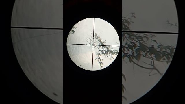 20 สิงหาคม ค.ศ. 2022 смотреть онлайн