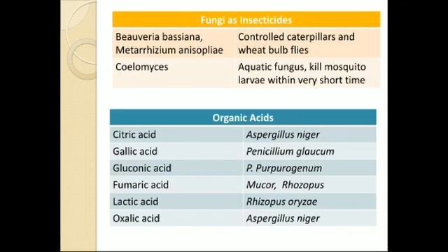 Economic Importance Of Fungi
