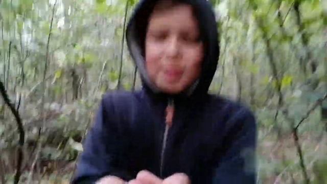 нахаждение грибов