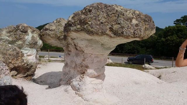 Stone mushrooms смотреть онлайн