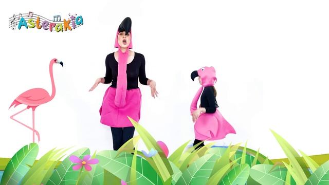 Το Φλαμινγκο (The Flamingo) смотреть онлайн