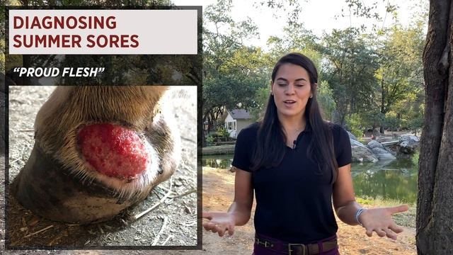 Summer Sores: Diagnosis & Treatment смотреть онлайн