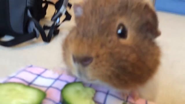 За столом?????? смотреть онлайн