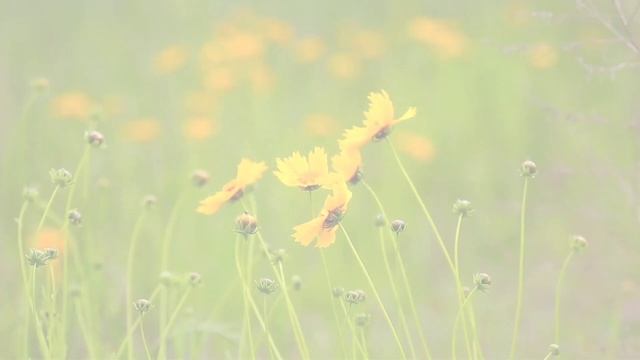 21 марта 2023 г. смотреть онлайн