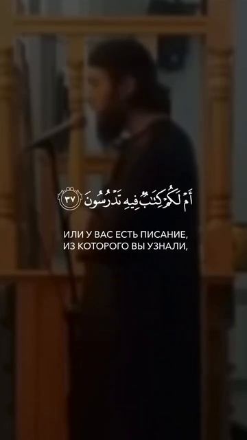 Чтец:? Сура: 68 «Аль-Калам» Аяты: 35-38 смотреть онлайн