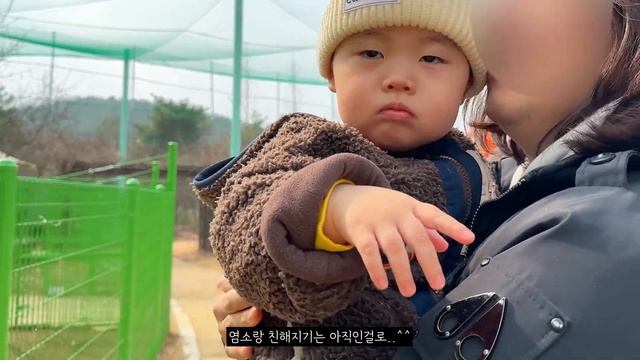 겁 많은 꼬맹이랑 동물원 나들이 vlog смотреть онлайн