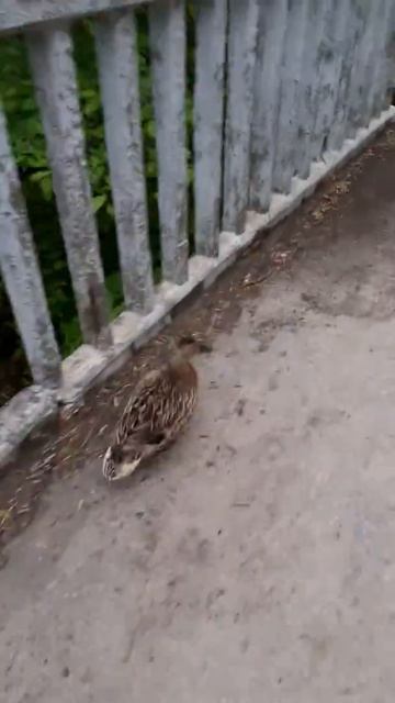 23 мая 2020 г. смотреть онлайн