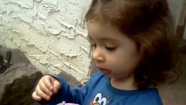 PomBlueberry Chocolate Truffle On A Pink Cone