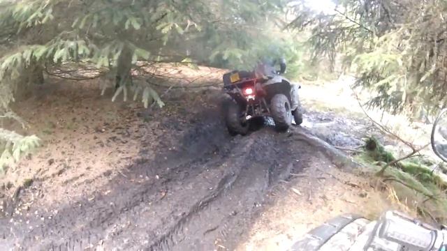 Yamaha Grizzly Wicked Forrest Track смотреть онлайн