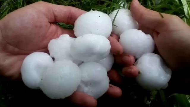 Град у Виноградові смотреть онлайн