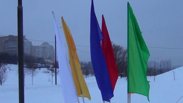 Соревнования по лыжному спорту в районе Москворечье-Сабурово смотреть онлайн
