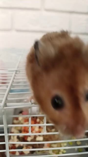 28 июля 2024 г. смотреть онлайн