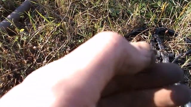 Покопушки 2015(№12)---Заяц и три колечка. смотреть онлайн