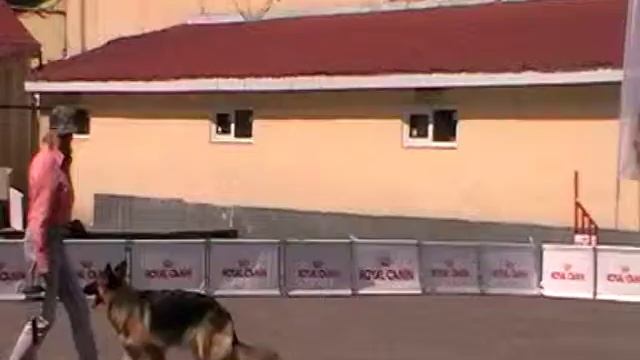 12 Самойлова Надежда и Вега смотреть онлайн