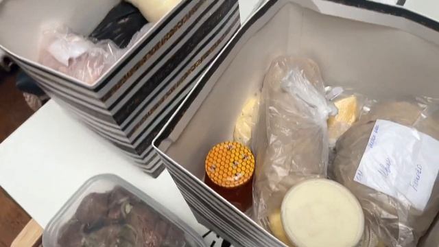 Алиса - лиса. Подкармливают нас через Сашу