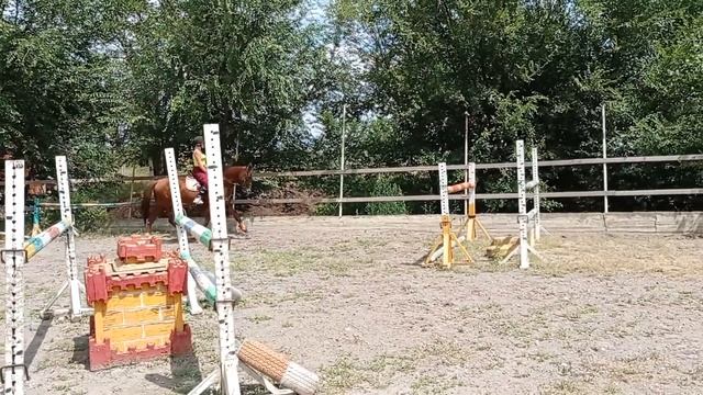 Форз рысь под седлом(2) смотреть онлайн