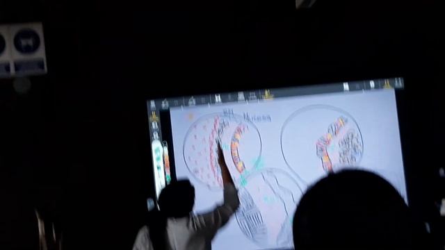 Morfo 2 - histologia- clase 14 - parte 1 смотреть онлайн