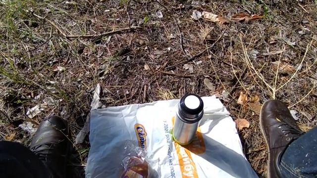 ОБЕДАЮ В ЛЕСУ. ИСПЫТАНИЕ ТЕРМОСА. БУШКРАФТ