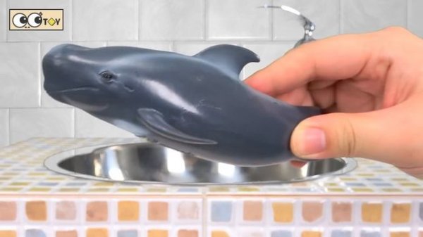 한국어ㅣ우리집 세면대 밑에 둔클레오스테우스가 살고있다. 유아 동물 만화, 고대생물 이름, 컬렉타ㅣ꼬꼬스토이