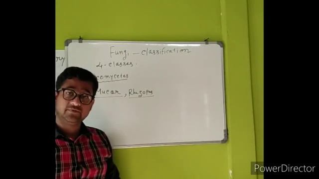 Kingdom Fungi (ভেকুঁৰ ৰাজ্য) |NEET/AIIMS |Biology Classes| Lecture Mycology смотреть онлайн