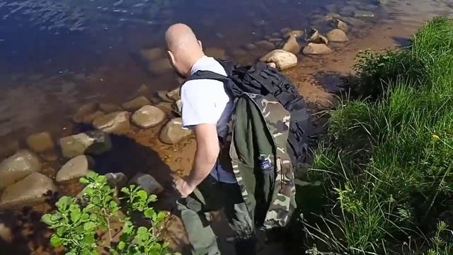 ОПАСНЫЙ ЛЕС/КОМАРЫ УБИЙЦЫ