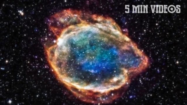ஒரு நட்சத்திரத்தின் வாழ்க்கை | Life Cycle of a Star | 5 Min Videos смотреть онлайн