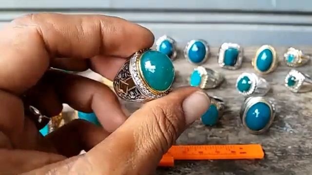 BACAN DOKO PALAMEA NATURAL LAWAS HARGA MERAKYAT