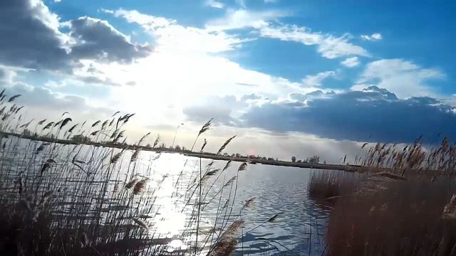 Охота (закрытие) 23. 04. 2016 г. смотреть онлайн