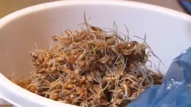 Целебная кулинария_Авитаминоз смотреть онлайн