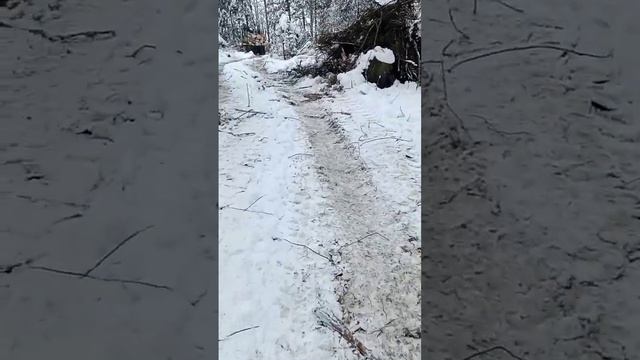 🌲 КраЗ-ЛесовоЗ 🌲 конец года...