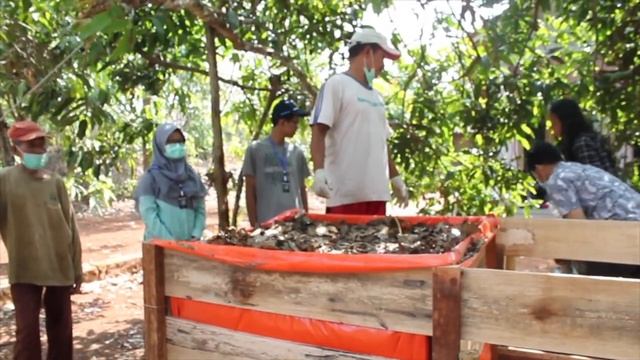 Pupuk Kompos daun Jati dan Jamur Trichoderma,sp.