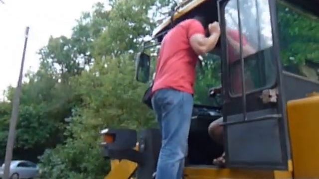 Трусливые пильщики рощи 