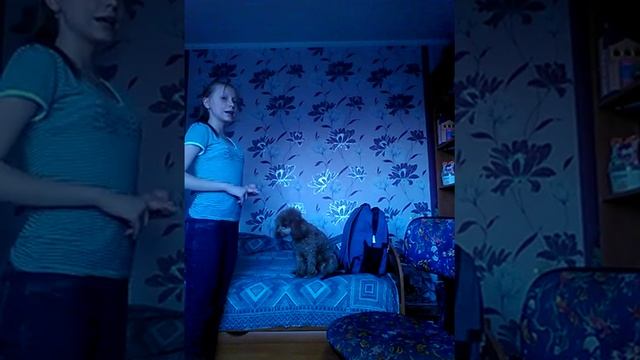 Знает ли моя собака команды? смотреть онлайн