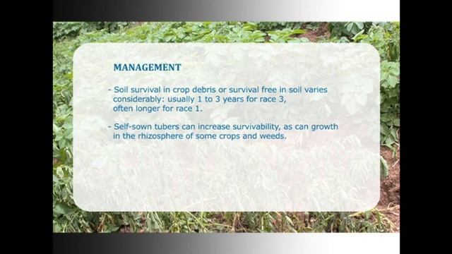 DOHC&TM DISEASES OF POTATO AND ITS MANAGEMENT