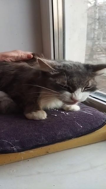 Тимофей принимает лекарство Timofey takes medicine смотреть онлайн