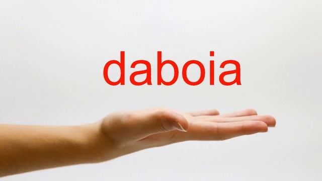 How to Pronounce daboia - American English смотреть онлайн